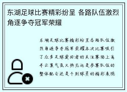 东湖足球比赛精彩纷呈 各路队伍激烈角逐争夺冠军荣耀