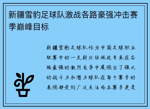 新疆雪豹足球队激战各路豪强冲击赛季巅峰目标