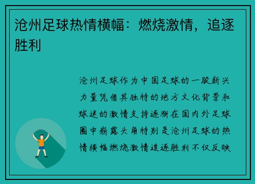 沧州足球热情横幅：燃烧激情，追逐胜利