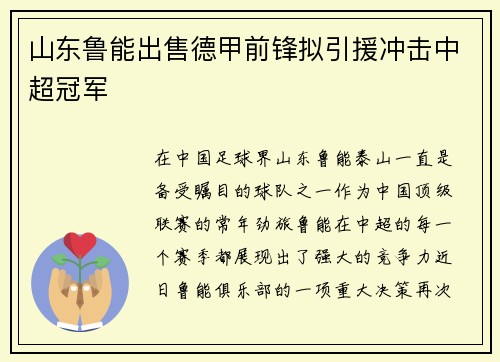 山东鲁能出售德甲前锋拟引援冲击中超冠军