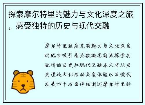 探索摩尔特里的魅力与文化深度之旅，感受独特的历史与现代交融