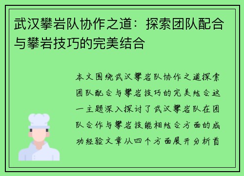 武汉攀岩队协作之道：探索团队配合与攀岩技巧的完美结合