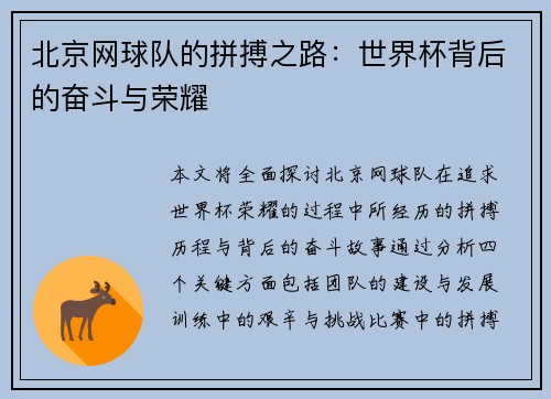 北京网球队的拼搏之路：世界杯背后的奋斗与荣耀