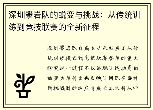 深圳攀岩队的蜕变与挑战：从传统训练到竞技联赛的全新征程